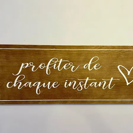 Anita -centre -parking Prive -wifi Appartement *