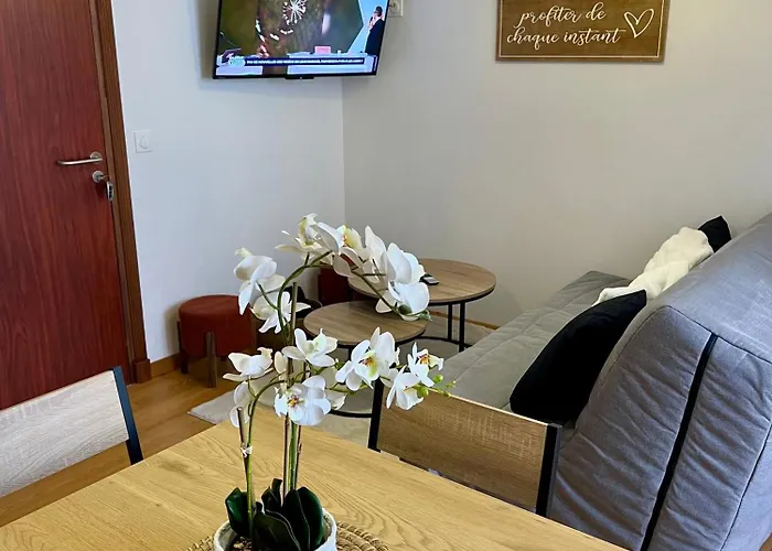 Anita -centre -parking Prive -wifi * Barcelonnette